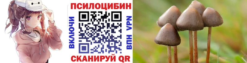 мориарти официальный сайт  Дрезна  Псилоцибиновые грибы ЛСД  omg ТОР 